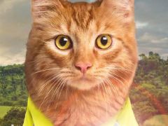 Mensch, mach dich sichtbar!