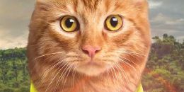 Mensch, mach dich sichtbar!