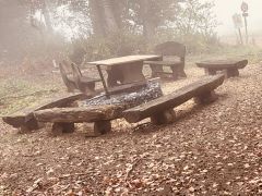 Waldbrandgefahrenstufe gesenkt