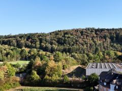 Trockenheit im Wald