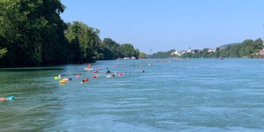 Rheinschwimmen Rückblick