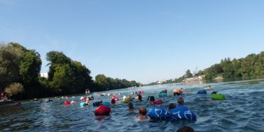 Rheinschwimmen