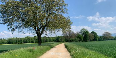Informationsveranstaltung zur Mitwirkung "Richtplan Landschaft und Erholung"