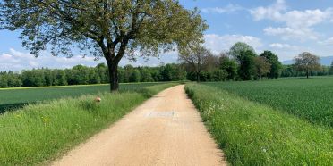 Richtplan Landschaft und Erholung in Kraft getreten